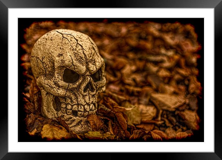 Halloween Skull 1 Framed Mounted Print by Steve Purnell