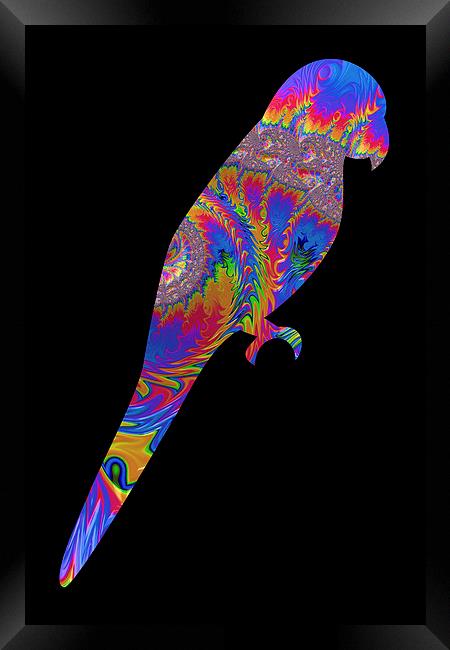 Fractal Parrot on Black Framed Print by Steve Purnell