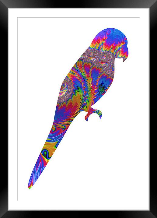 Fractal Parrot on White Framed Mounted Print by Steve Purnell