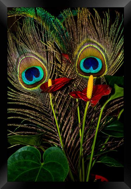 Birds Of A Feather 1 Framed Print by Steve Purnell