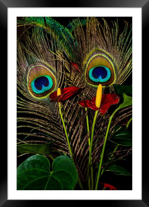 Birds Of A Feather 1 Framed Mounted Print by Steve Purnell