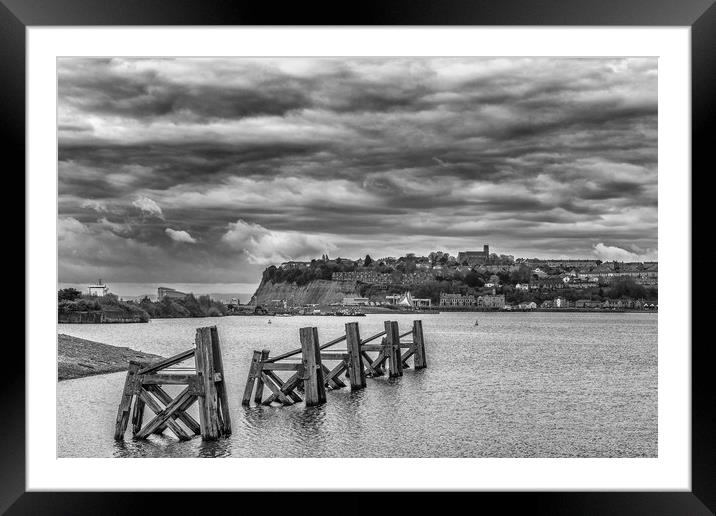 Cardiff Bay Dolphins Mono Framed Mounted Print by Steve Purnell