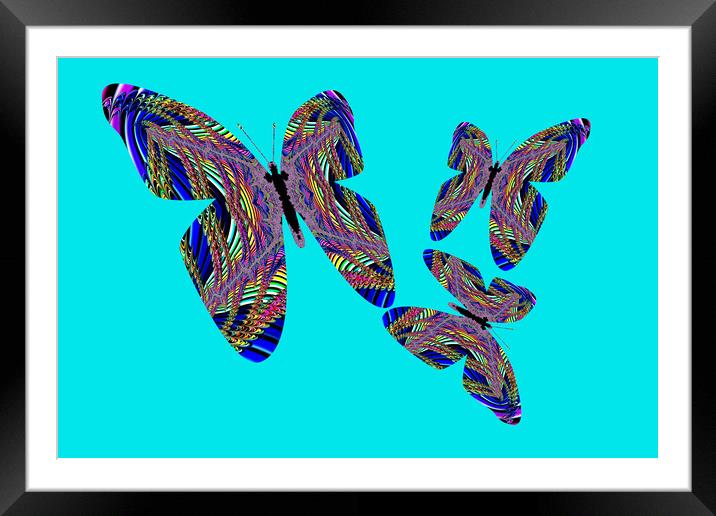 Butterfly Blue Framed Mounted Print by Steve Purnell