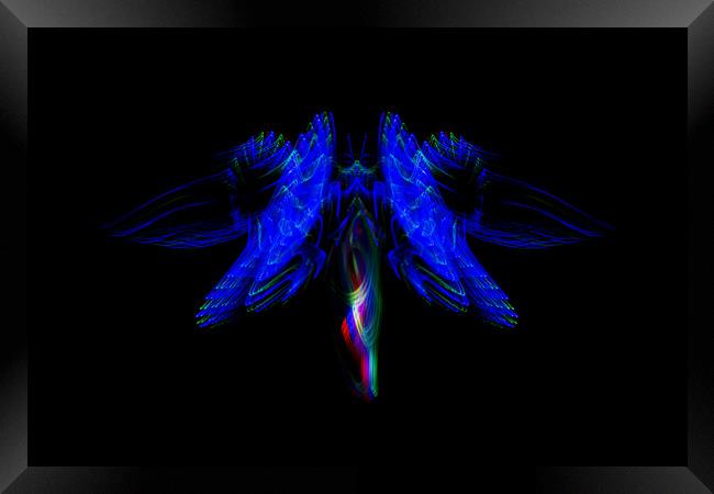 The Light Moth Framed Print by Steve Purnell
