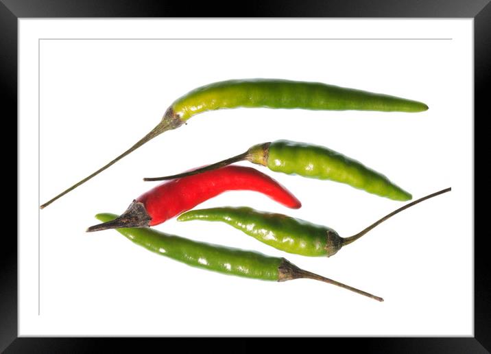 Odd Chilli Out Framed Mounted Print by Steve Purnell