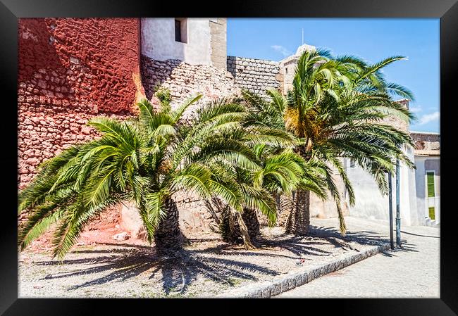 Ibiza Palm Trees Framed Print by Steve Purnell