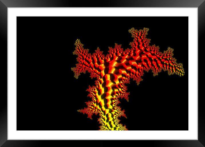 Forever Fronds Framed Mounted Print by Steve Purnell