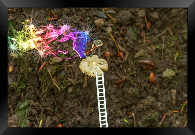 Magical Mushroom Framed Print by Steve Purnell
