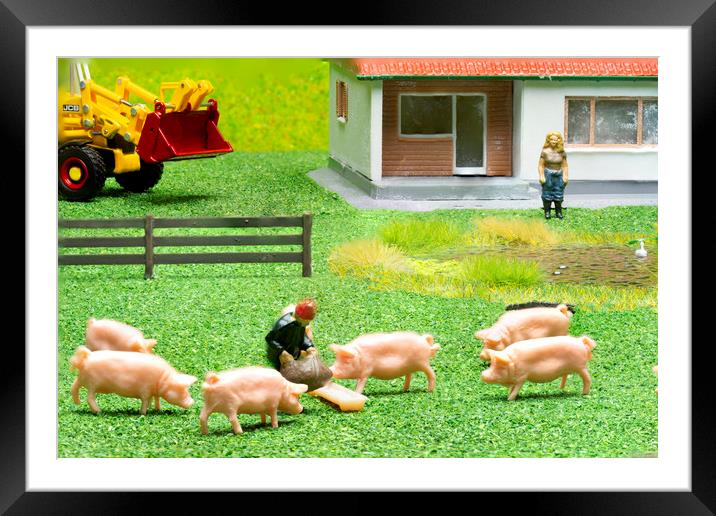 Feeding The Pigs 2 Framed Mounted Print by Steve Purnell