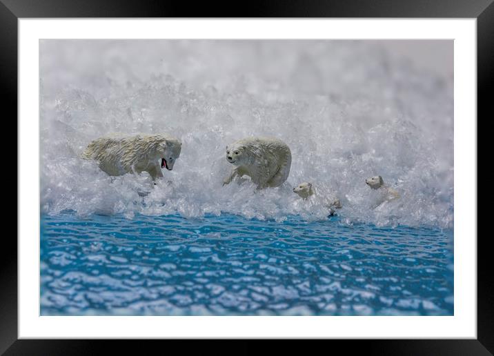 Polar Bear Day Out Framed Mounted Print by Steve Purnell