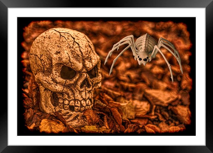 Halloween Skull And Spider Framed Mounted Print by Steve Purnell