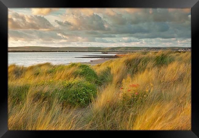 Last light On Instow Sand Dunes Framed Print by Andrew Wheatley