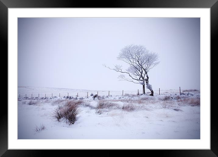 A Winter Dance II Framed Mounted Print by Andrew Wheatley