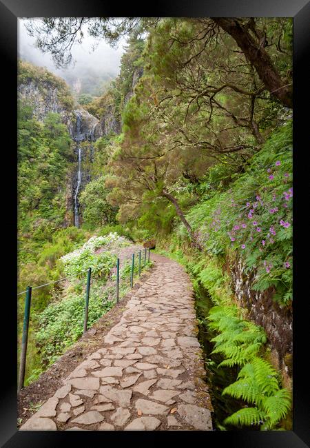 Lavada Walking in Madeira Framed Print by Roger Green
