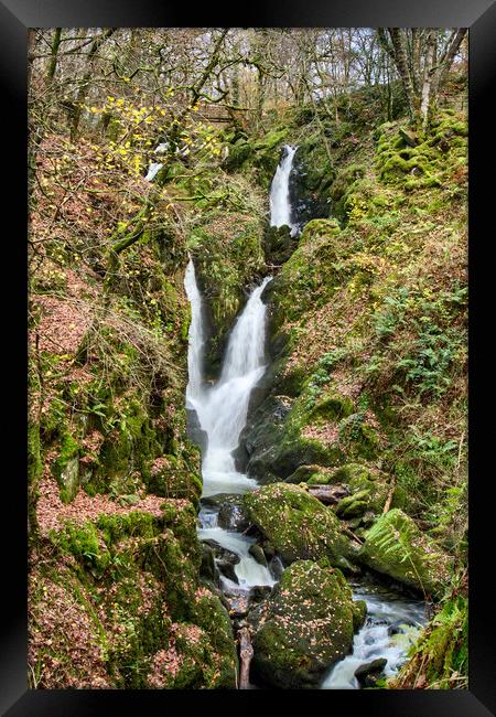 Stock Ghyll Force Ambleside Framed Print by Roger Green