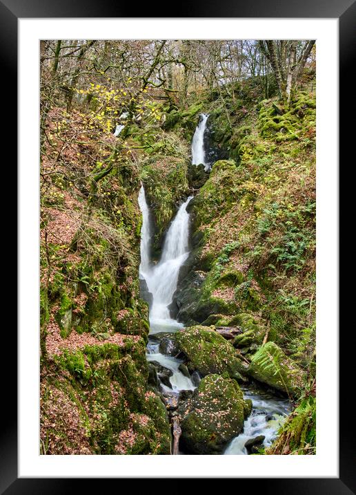 Stock Ghyll Force Ambleside Framed Mounted Print by Roger Green