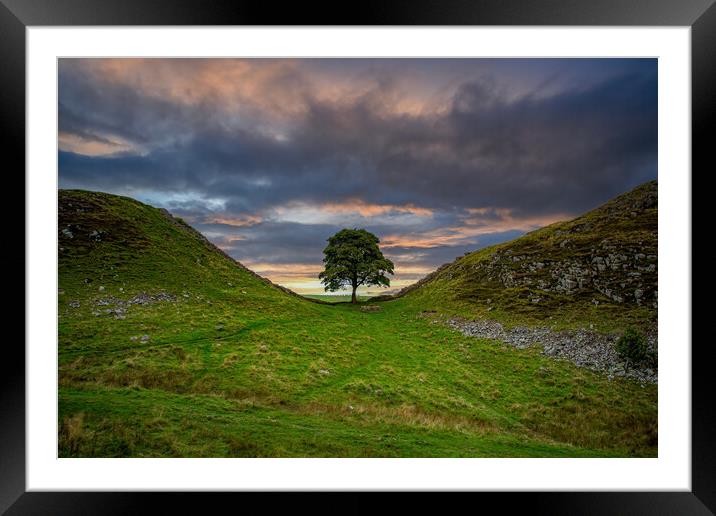 Sycamore Gap Framed Mounted Print by Roger Green