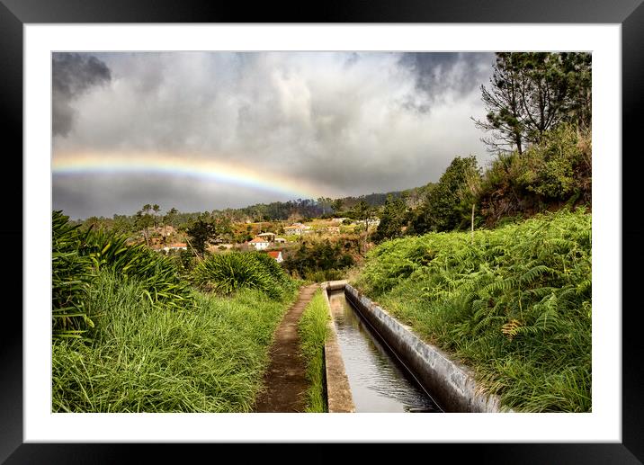 Lavada Walk in Madeira Framed Mounted Print by Roger Green