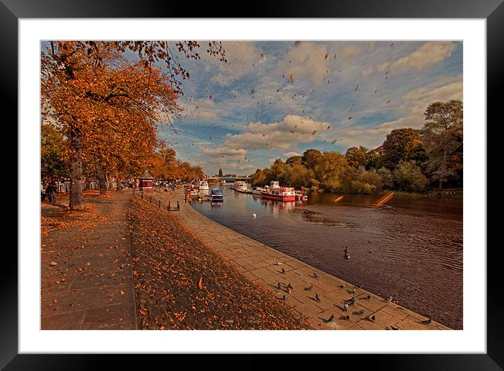 Chester in the Fall Framed Mounted Print by Roger Green