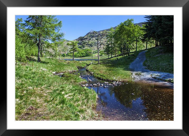 Pathway to Blea Tarn Framed Mounted Print by Roger Green