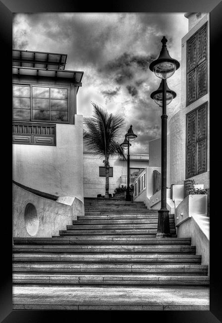 Playa Blanca Steps Framed Print by Roger Green