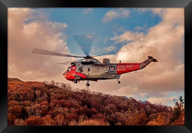 Sea King Helicopter Framed Print by Roger Green