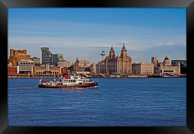 Royal Iris on the Mersey Framed Print by Roger Green