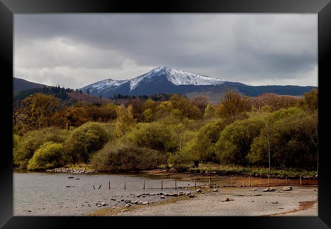 Derwentwater with Grisedale Pike Framed Print by Roger Green