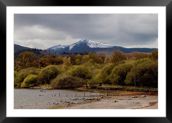 Derwentwater with Grisedale Pike Framed Mounted Print by Roger Green
