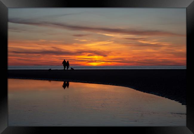 Walking the Dogs on Ainsdale Beach Framed Print by Roger Green