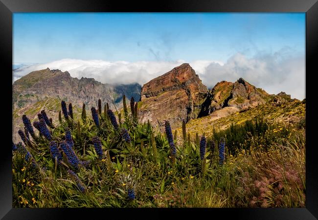 Mountains of Madeira Framed Print by Roger Green