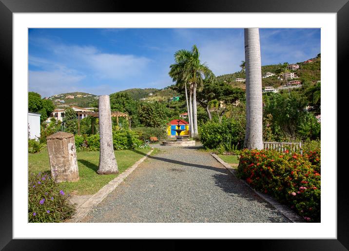 Botanic Gardens - Road Town Framed Mounted Print by Roger Green