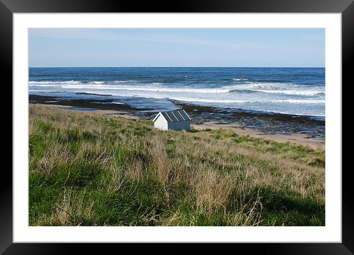 Beach Hut Framed Mounted Print by Dave Parkin