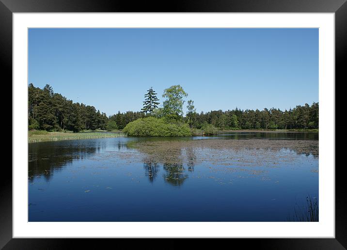 Nelly Moss Lake Framed Mounted Print by Dave Parkin