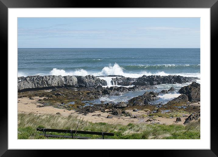 Northumberland coast Framed Mounted Print by Dave Parkin