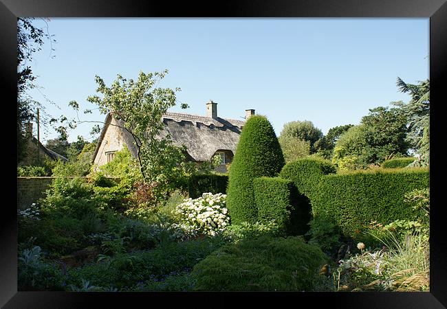 Hidcote Gardens Framed Print by Dave Parkin