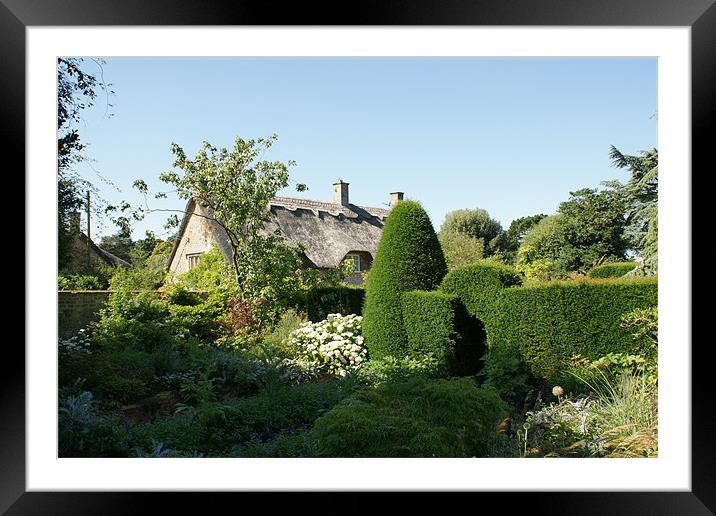 Hidcote Gardens Framed Mounted Print by Dave Parkin