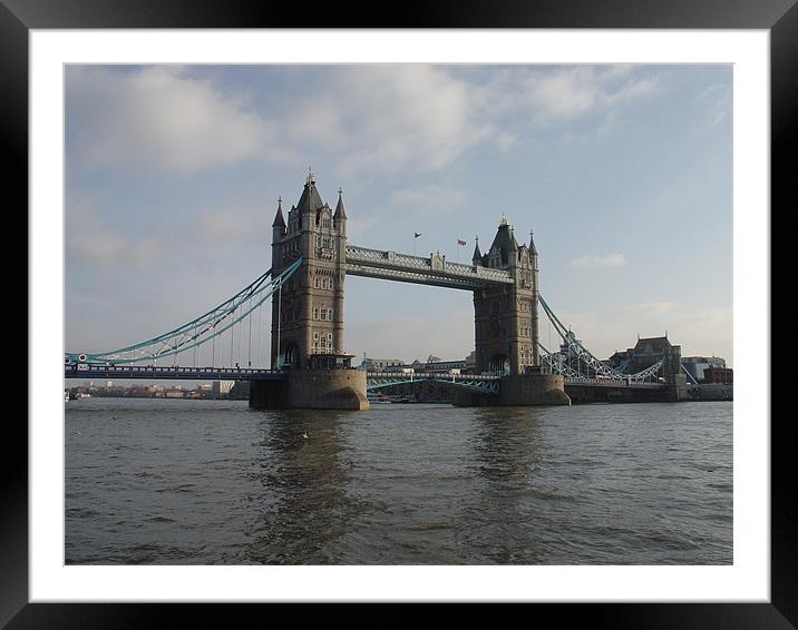 Tower Bridge Framed Mounted Print by Dave Parkin