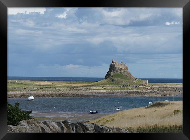 lindisfarne Castle Framed Print by Dave Parkin