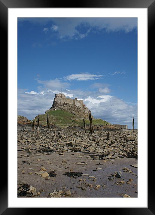 Lindisfarne Castle Framed Mounted Print by Dave Parkin