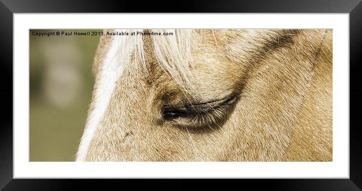 Eye Wide Shut Framed Mounted Print by Paul Howell