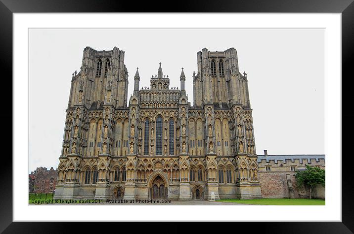 Wells cathedral Framed Mounted Print by terrylee davis
