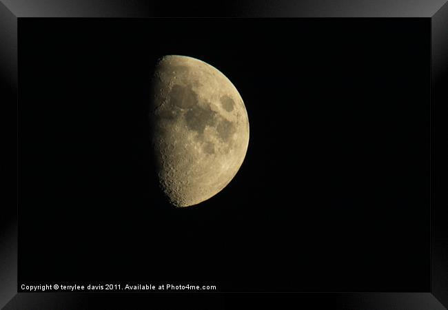 half moon Framed Print by terrylee davis