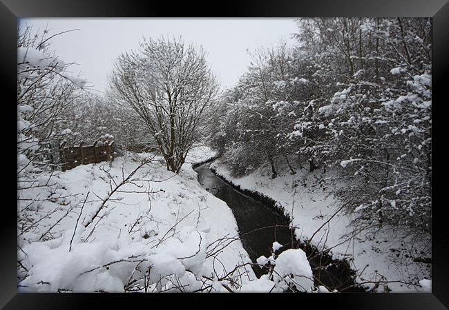 on a winters day Framed Print by terrylee davis