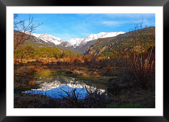 Sponsored by Mother Nature Framed Mounted Print by Sharon Pfeiffer