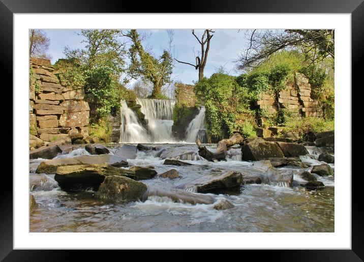 Penllegaer Waterfall. Framed Mounted Print by Becky Dix