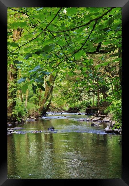Graig - Neddfwch River. Framed Print by Becky Dix