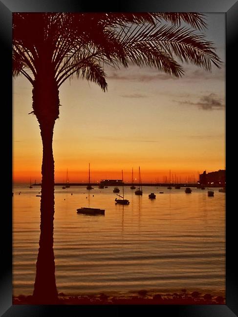 Sunset in Ibiza Framed Print by Becky Dix