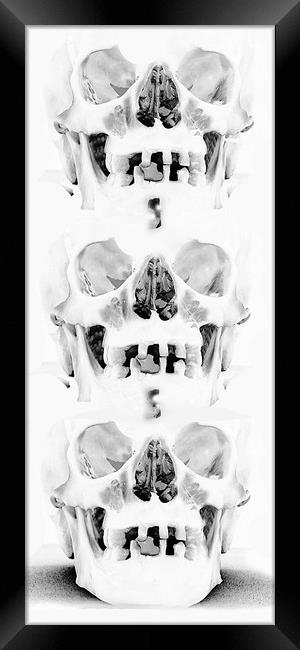Skulls in Negative. Framed Print by Becky Dix