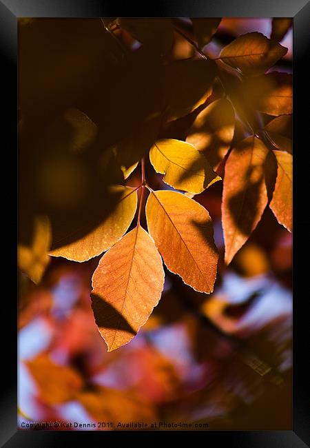 Autumn Leaves Framed Print by Kat Dennis